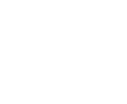 Evolution games at Grand Theft Casino